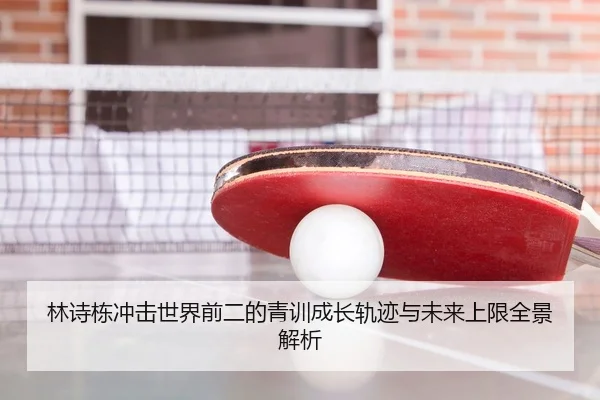 林诗栋冲击世界前二的青训成长轨迹与未来上限全景解析